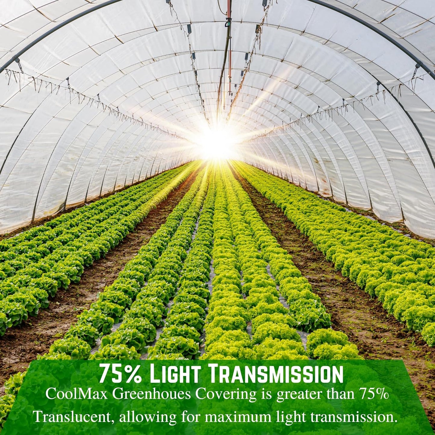 Farm Plastic Supply - Clear Coolmax Greenhouse Plastic Sheeting - 6 Mil - 4 Year UV Resistant Infrared Anti-Condensate Green House Covering Thermal Greenhouse Plastic 6 mil (32' x 60')