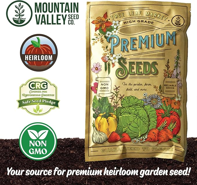 Moringa Seeds for Planting - 10 g Packet ~39+ Seeds - Grow Moringa Seeds to Eat - Moringa Plant Tree Seedlings - The Tree of Life, Moringa Oleifera