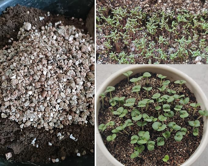 Organic Vermiculite Granules for Plants and Gardening (12 QT, Vermiculite)
