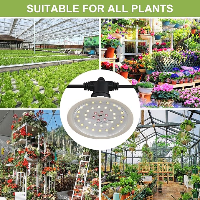 Outdoor Grow Lights for Plants, Full Spectrum Greenhouse Grow Light, Waterproof String Grow Light, 22FT Adjustable Cord, for Vegetables, Seedlings, Flowers (6 Lights)