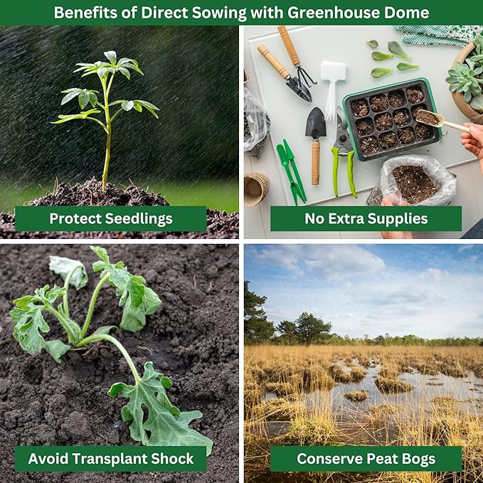 Beans Garden Kit with Grow Rings, Greenhouse Germination Domes, Seeds, Markers, Instructions – Gardening Gift for Mom, Teachers, Women, and Men – Made in USA