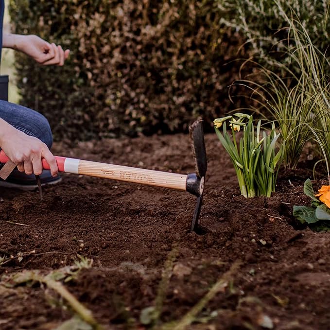 Adler - The Rosie Garden Hoe, Heavy Duty Yard Tool Lawn Care, Loosening Soil, Weeding, and Digging, Steel Head 10.6 inches, Wood Handle 17.7 inches (Green)