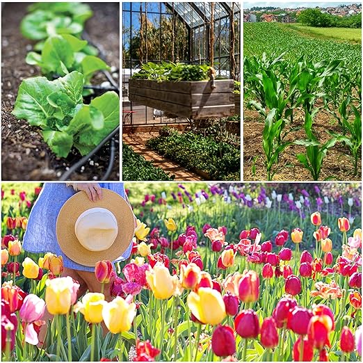 60Pcs 1/4 Inch Drip Irrigation Coupling Fittings Straight Coupling Barbed Connector for 4/7mm Tube Drip Irrigation Watering System