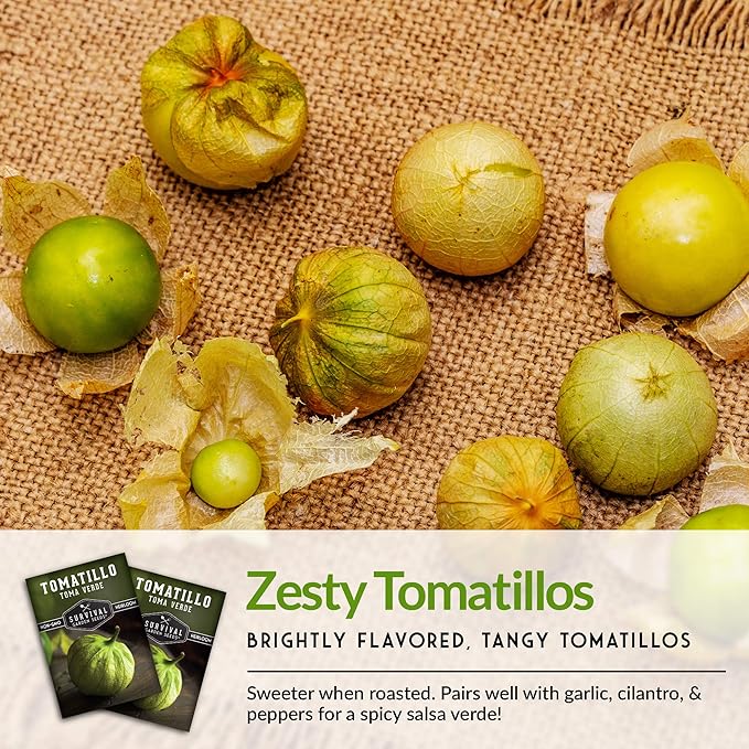 Survival Garden Seeds - Toma Verde Tomatillo Seed for Planting - 3 Packs with Instructions to Plant & Grow Green Salsa Vegetables in Your Home Vegetable Garden - Non-GMO Heirloom Variety