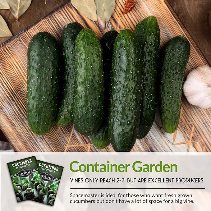 5 Packs Spacemaster Cucumber Seed for Planting - Packet with Instructions to Plant Container Friendly Cucumbers in Your Home Vegetable Garden - Non-GMO Heirloom Variety - Survival Garden Seeds