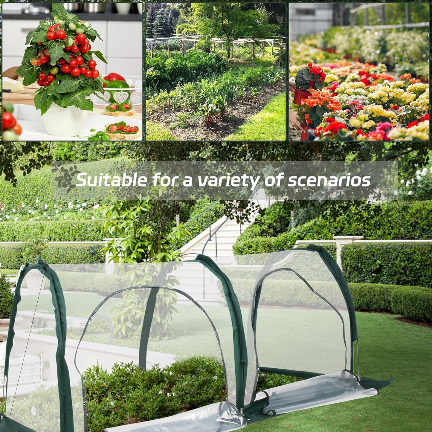 Portable Tunnel Greenhouse for Outdoors - Transparent Mini Greenhouses Ideal for Backyards and Outdoor Vegetable Cultivation (2M)