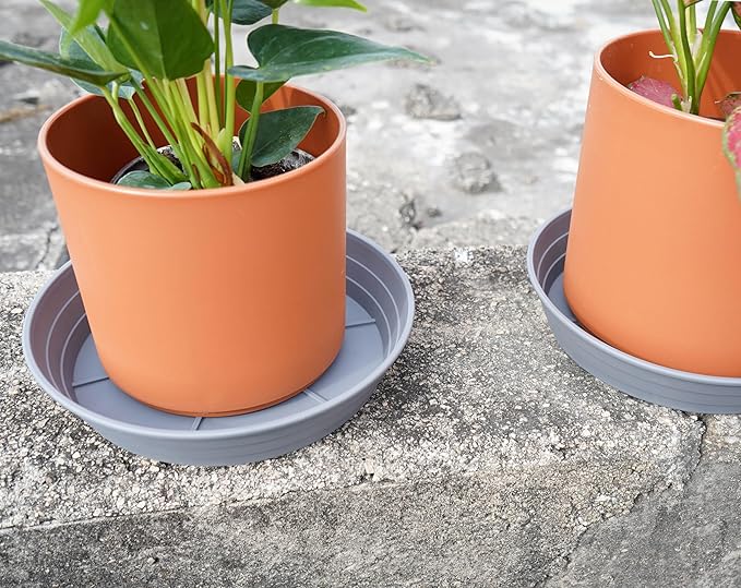 Plant Saucer 8 Inch 4 Pack 6 8 10 12 14 16 18 20 25, Plastic Plant Trays for Pots,Extra-Deep Plant Water Dray Tray, Bird Bath Bowl, Heavy Flower Plant saucers Indoors and Outdoor No Holes 8in-4 grey