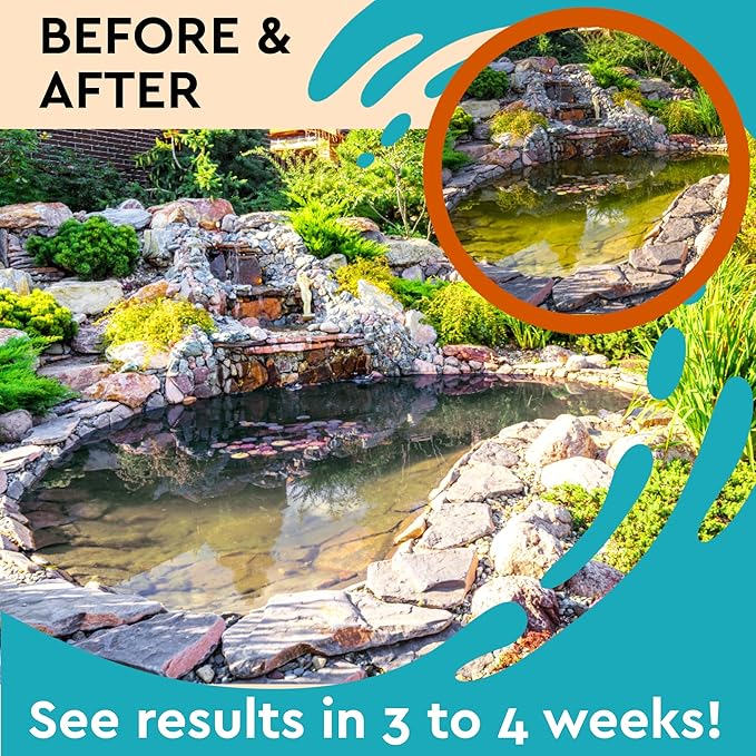Algaecide for Fountains – Clarify and Controls Algae for Large and Small Fountain - 32 oz (Quart)
