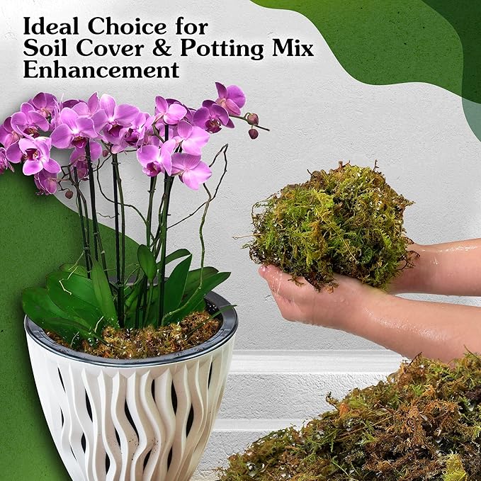 Natural Moss for Plants Indoor, Dried Moss for Potted Plants, Orchid Moss for Repotting, Forest Moss for Orchid Potting Mix, Decorative Moss Filler for Planters and Craft Moss (15oz)