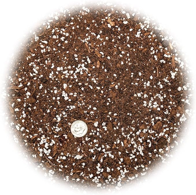 Premium House Plant and Tropical Plant Potting Soil - Re-Potting Soil for All Types of Indoor House Plants - 5 Quart