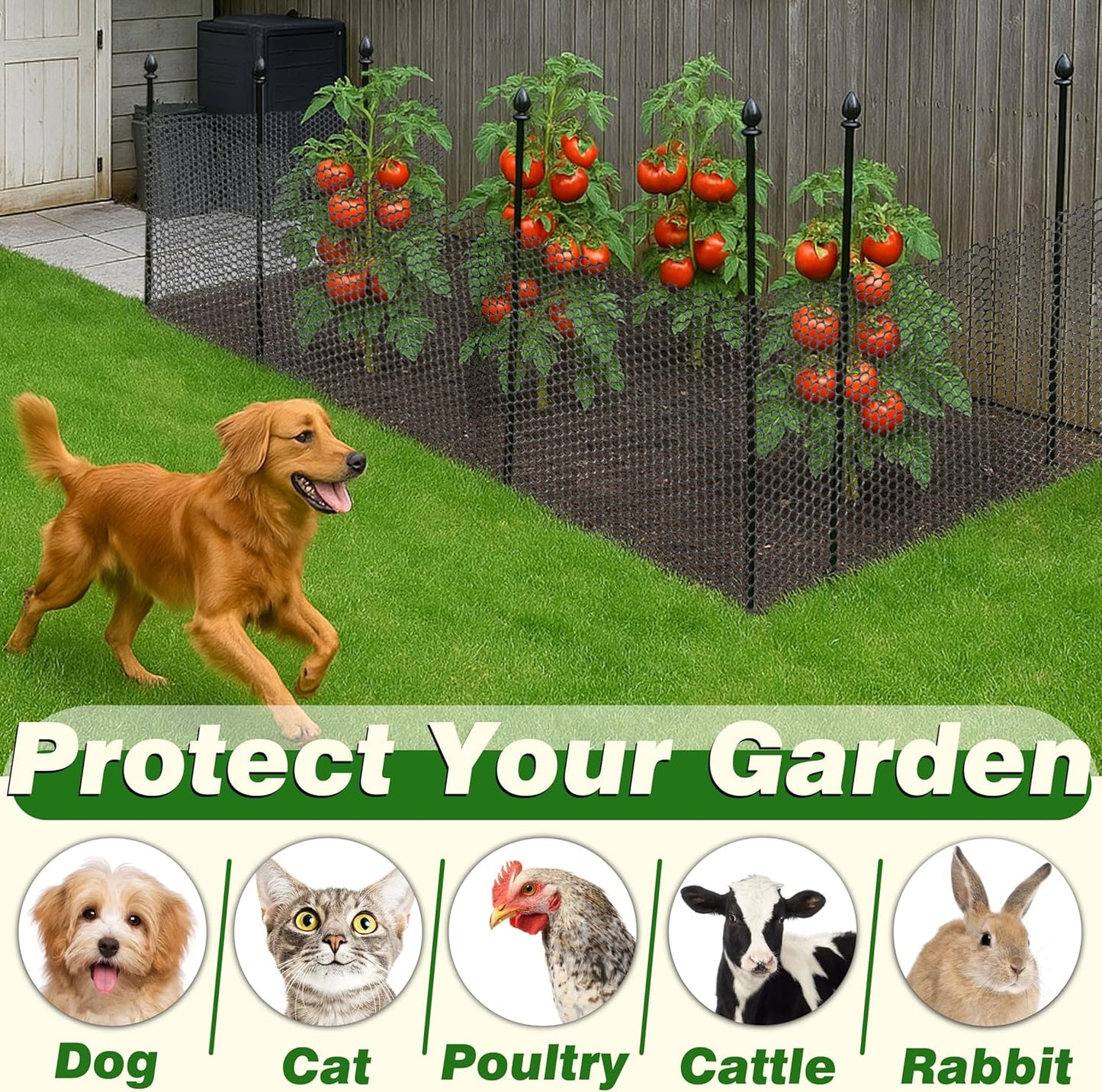 Gardzen Plastic Chicken Wire Mesh with 70 pcs Ties, 16in x 33ft Durable Chicken Fence for Poultry, Garden Protection & DIY Crafting, Heavy-Duty Mesh Netting for Outdoor & Indoor Use