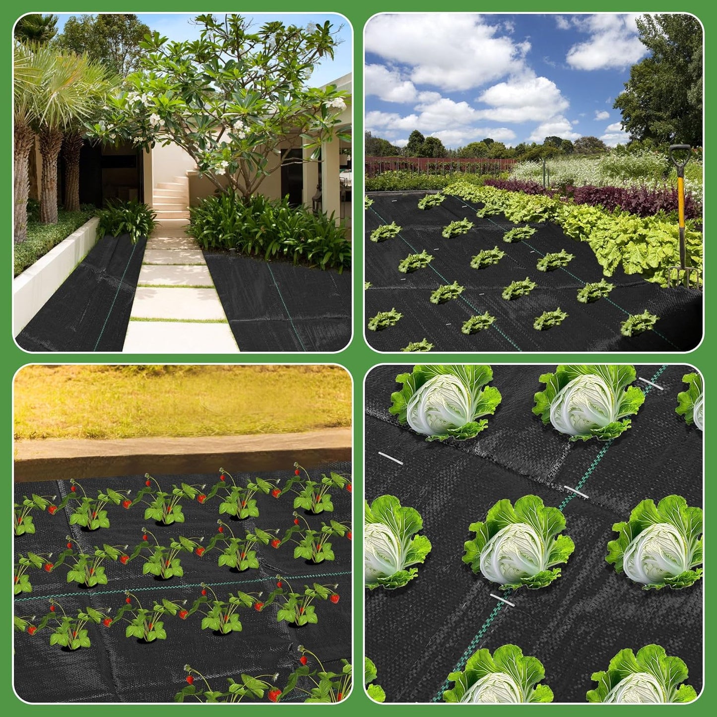 3FT x 100FT Weed Barrier Landscape Fabric Heavy Duty, 3.2oz Premium Gardening Weed Control Mat with 30 U-Shaped Securing Pegs, Ground Cover for Gardening, Farming, Raised Bed(2 Packs 3x50FT)
