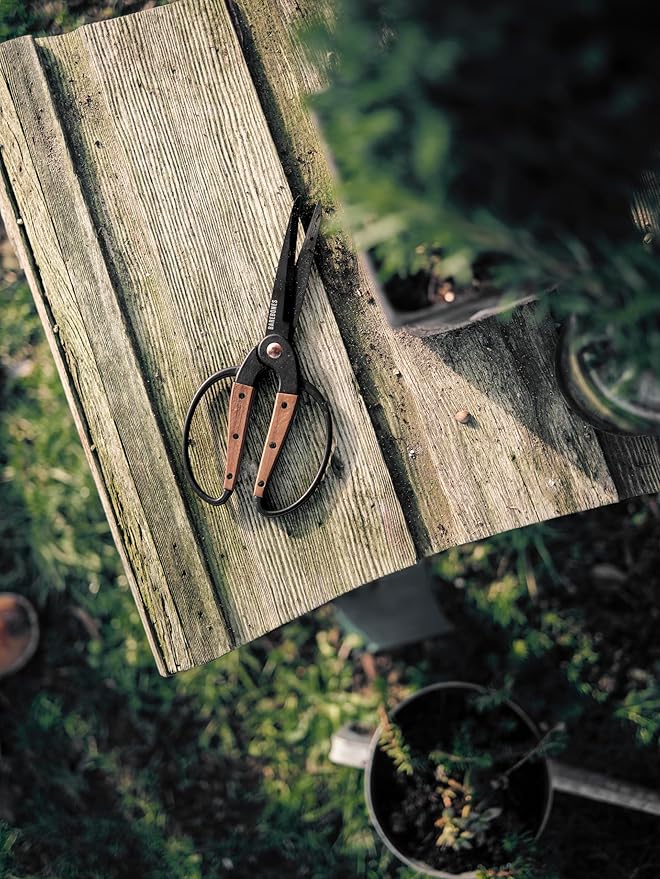 Barebones Garden Scissors - Walnut Plant Scissors - Garden Supplies and Indoor Plant Accessories - Plant Shears with Wide Handles - Comfortable Fit Hand Pruners (Large)