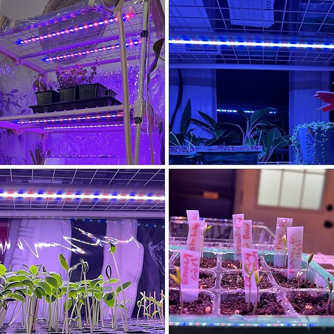 Carpathen Four-Strip LED Grow Light - 20” Full Spectrum, High PPFD, Even Light Distribution for Indoor Plants, Seedlings & Multi-Shelf Growing