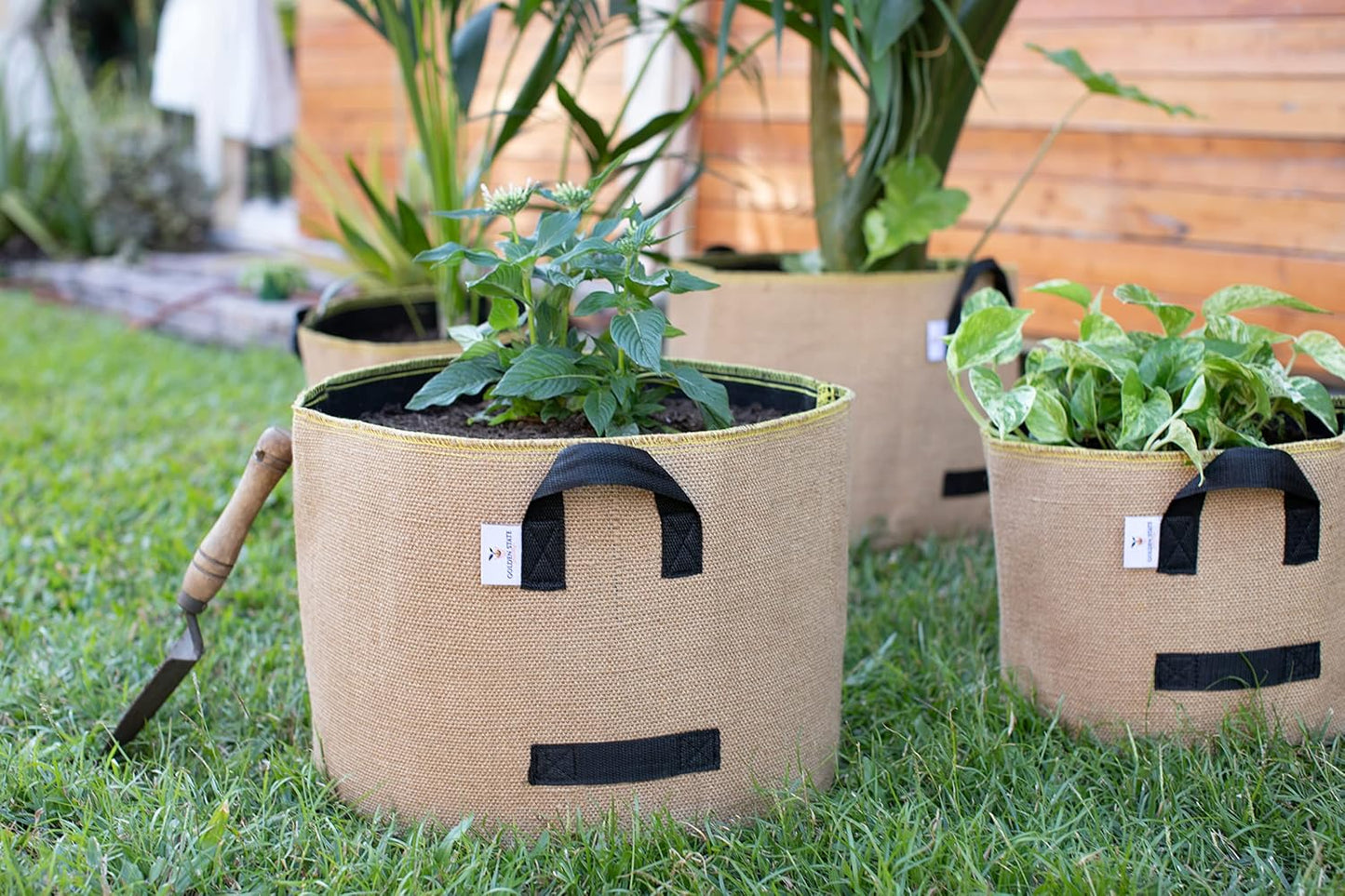 Grow Bags: 5-Pack (Size: 1 Gallon): Thick Jute Material + Inside Felt Fabric Liner, w/Yellow Stitch. Very Biodegradable and eco-Friendly Material. (Handles + Dumping Handles-pat.Pend).