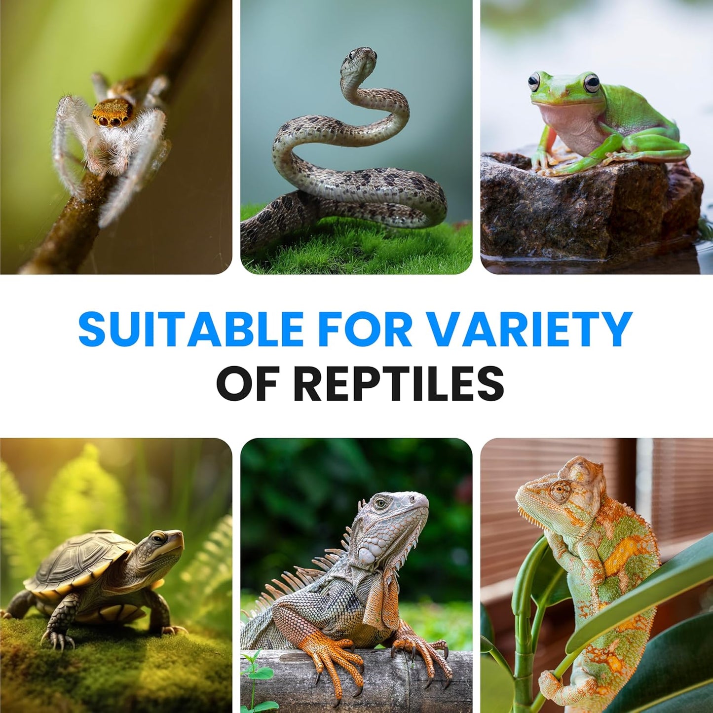 Simple Deluxe 4X7 Inch 4W Reptile Heating Pad Electric Indoor Under Tank Terrarium Heating Mat Waterproof for Turtles, Lizards, Frogs, and Other Reptiles