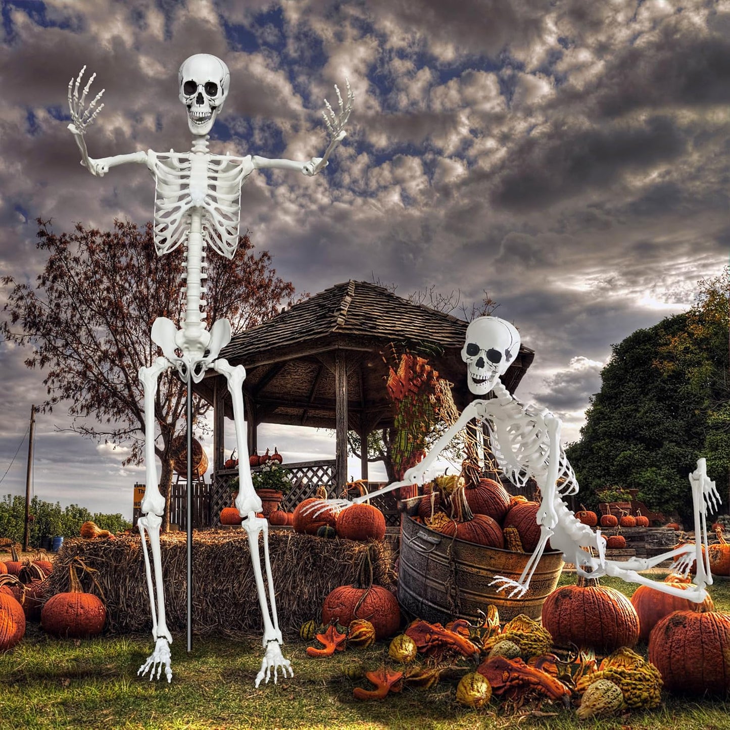7.9ft/240cm Giant Skeleton Halloween Skeleton Life Size Skeleton Posable Skeleton Full Body Realistic Bones with Movable Joints for Halloween Outdoor Indoor Decorations