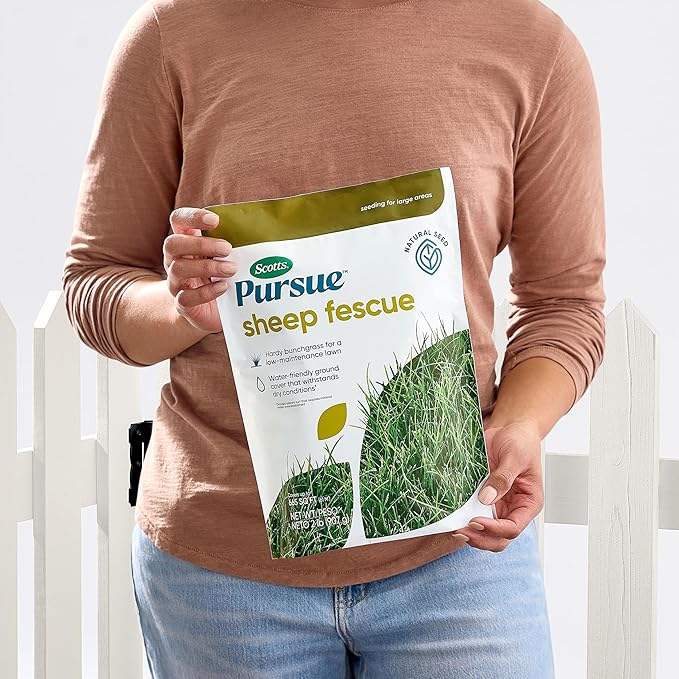 Scotts Pursue Sheep Fescue with Natural Seed, Seeding for Large Areas, 2 lbs. (Pack of 3)