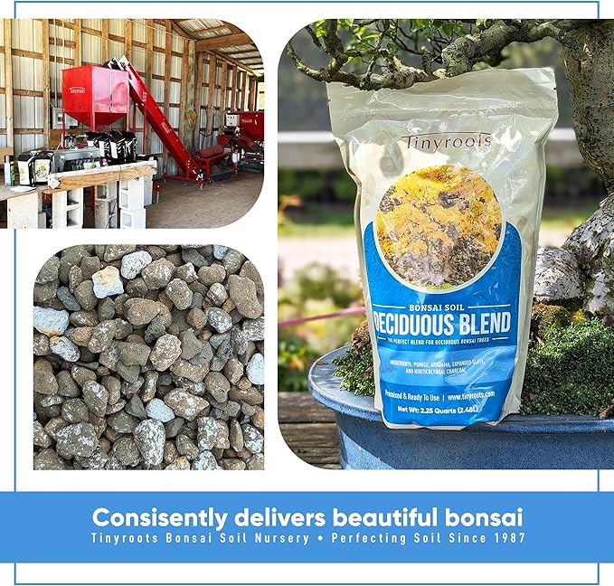 Deciduous Bonsai Soil Blend Mix - 2 Quarts, Organic Bonsai Soil Mix Formulated for Japanese Maple, Hornbeam, Elm, and Other Deciduous Bonsai Trees