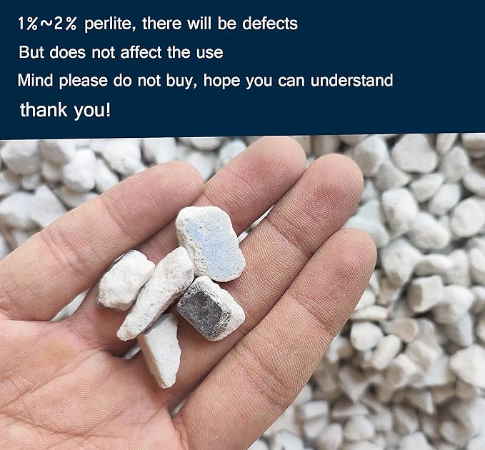 5 QT Professional Grade Horticultural Organic Perlite (5 QT, Large Size - Perlite)