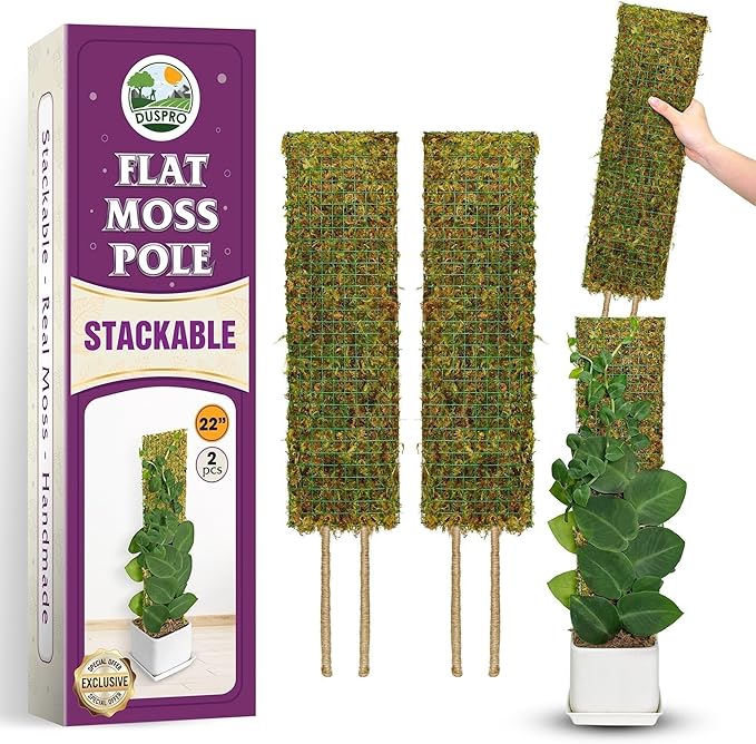 DUSPRO Flat Mesh Moss Poles for Climbing Plants Monstera Stackable Moss Pole for Plants with Real Moss Moss Plant Pole for Potted Plants Handmade Moss Stick for Indoor Plants Grow Upward 2 Pack 22β