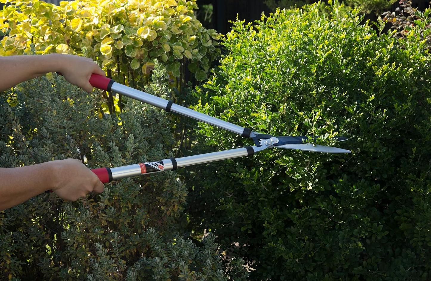 Kimura® Pro Telescopic Garden Shears - Premium Hedge Shears, Patented Gearing Technology, Lightweight Extendable Aluminium Handles, Japanese SK5 Steel Blades, Heavy Duty Gardening Shears - 650-850mm