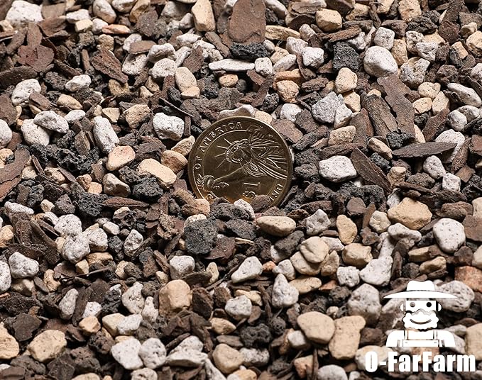 Bonsai Soil Mix Ready to Use 10 qt, Fast Draining All Purpose Potting Soil for Bonsai Tree, Ideal for Root Development, Made from Akadama, Lava Rock, Pumice and Pine Barks