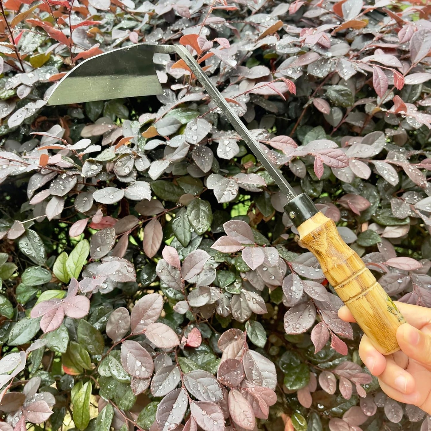 12 Inch Japanese Gardening Hand Weeding Sickle, Weeding Hoe with Long Wooden Handle