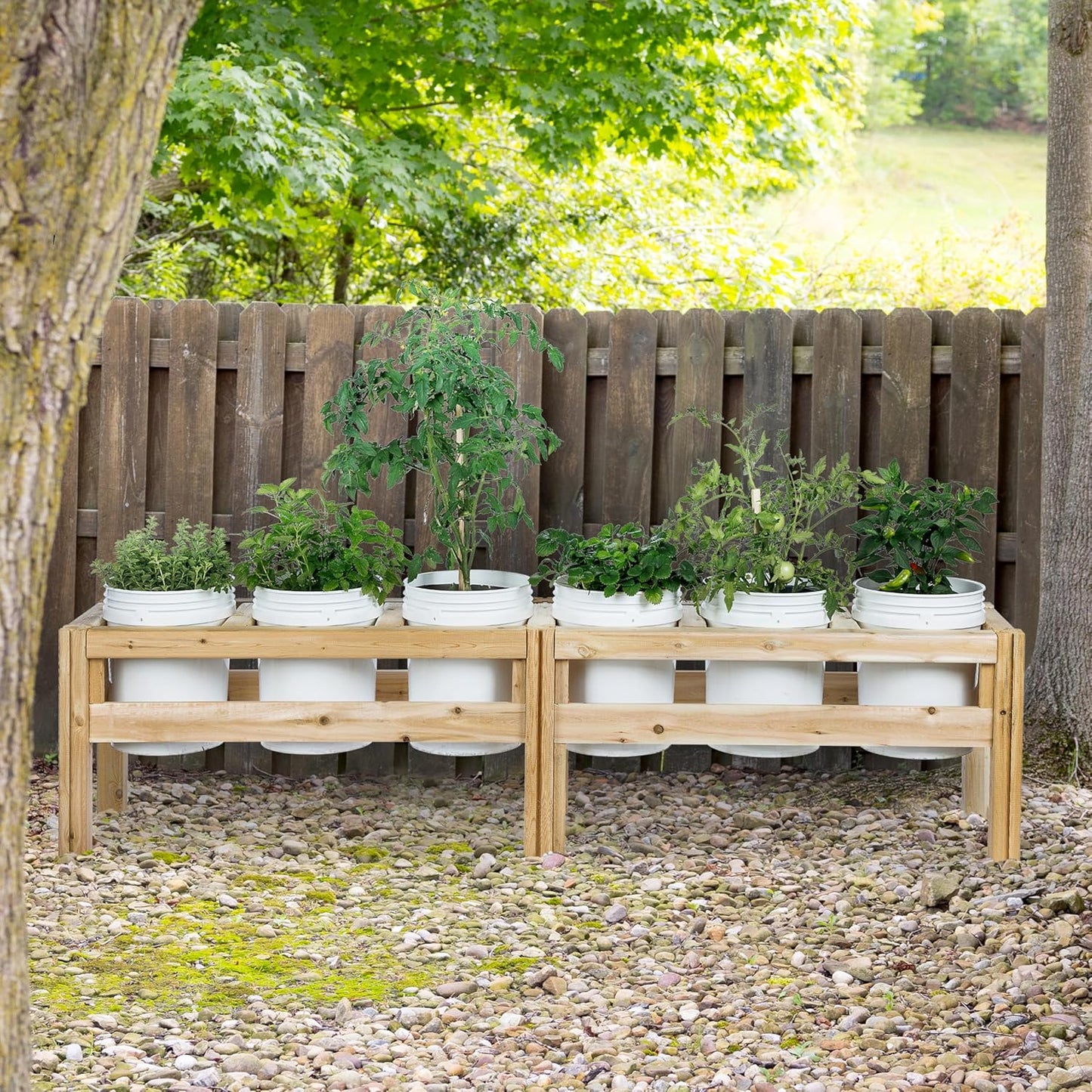 Greenes Fence Six Bucket Elevated Cedar Wood Garden Frame, 84 in. x 16 in. x 20 in. - Made in USA with North American Cedar