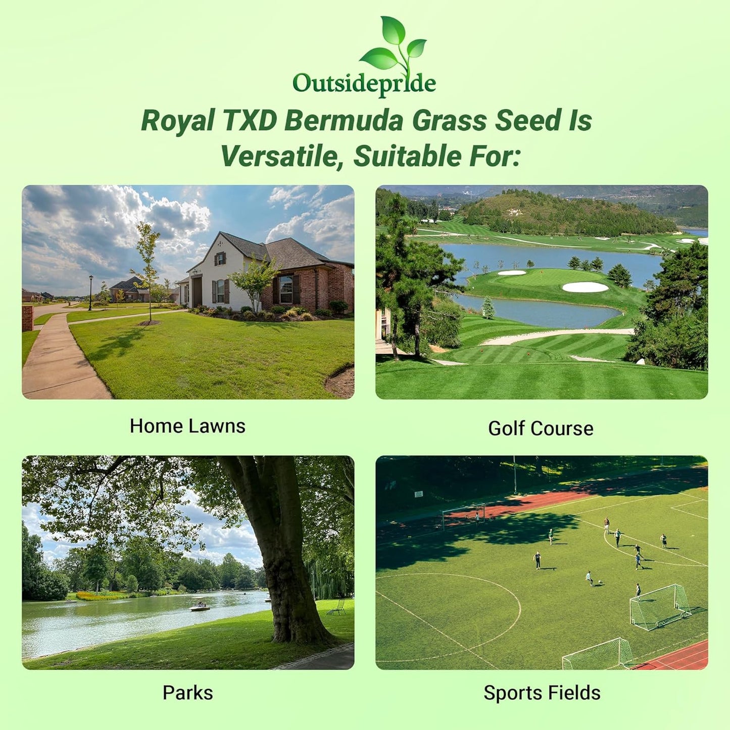Outsidepride Royal TXD Bermuda Grass Seed Blend - 2 lbs. Warm Season, Fast Growing Turf Grass Seeds: Heat & Drought Tolerant, Ideal for Home Lawns & Sports Fields, Dense & Lush Green Coverage