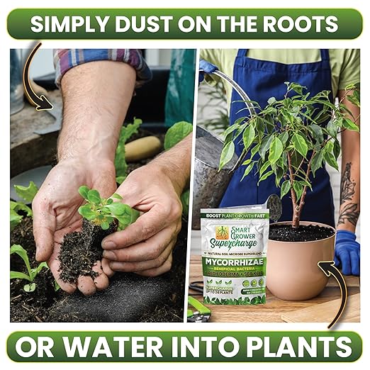 Mycorrhizal Fungi with Beneficial Bacteria, Trichoderma, Sea Kelp, Molasses, Yucca, Smart Grower Supercharge Plant Root Enhancer 8oz Super Concentrate Powder Makes 100 Gallons