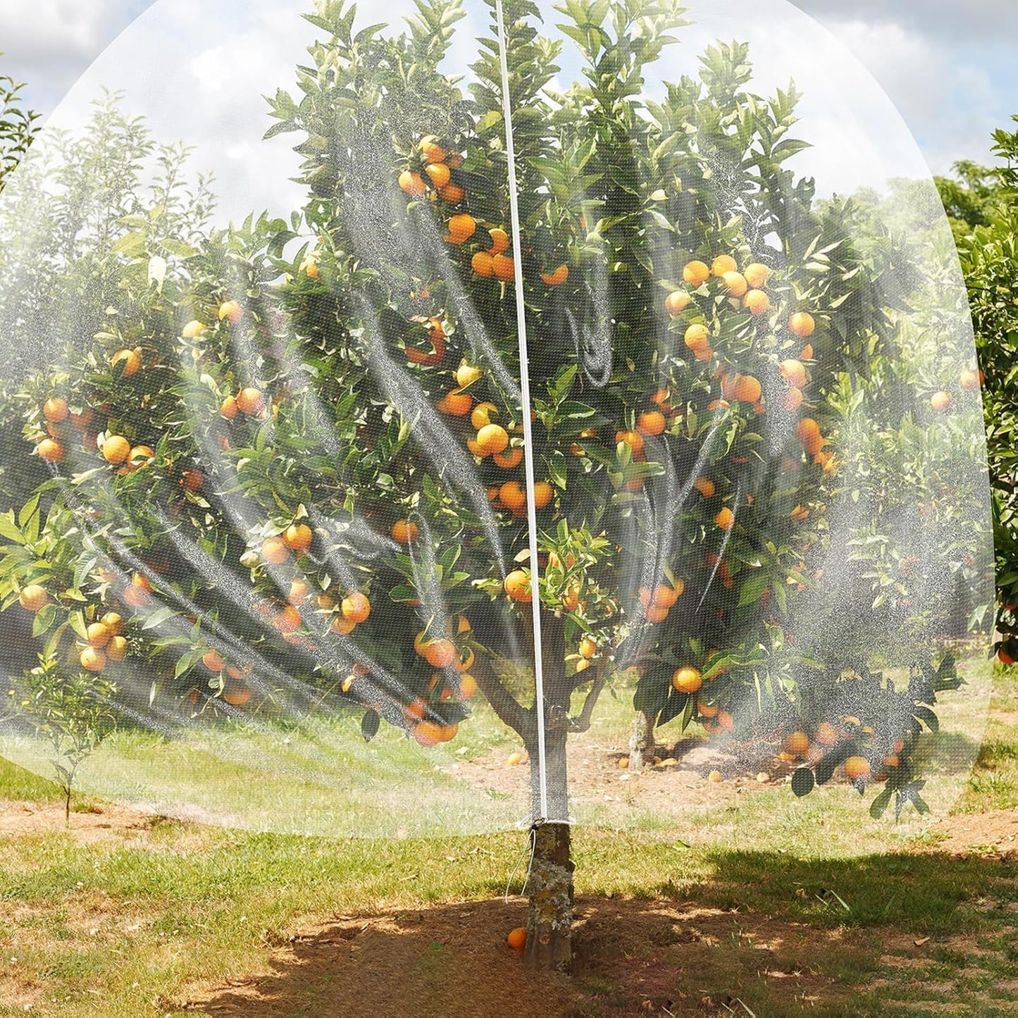 TWOWYHI 2Pack Garden Netting 6.6X8.2 Feet Large Fruit Tree Netting with Zipper and Drawstring Insect Bird Cover for Fruits Vegetables Tree Garden Protection