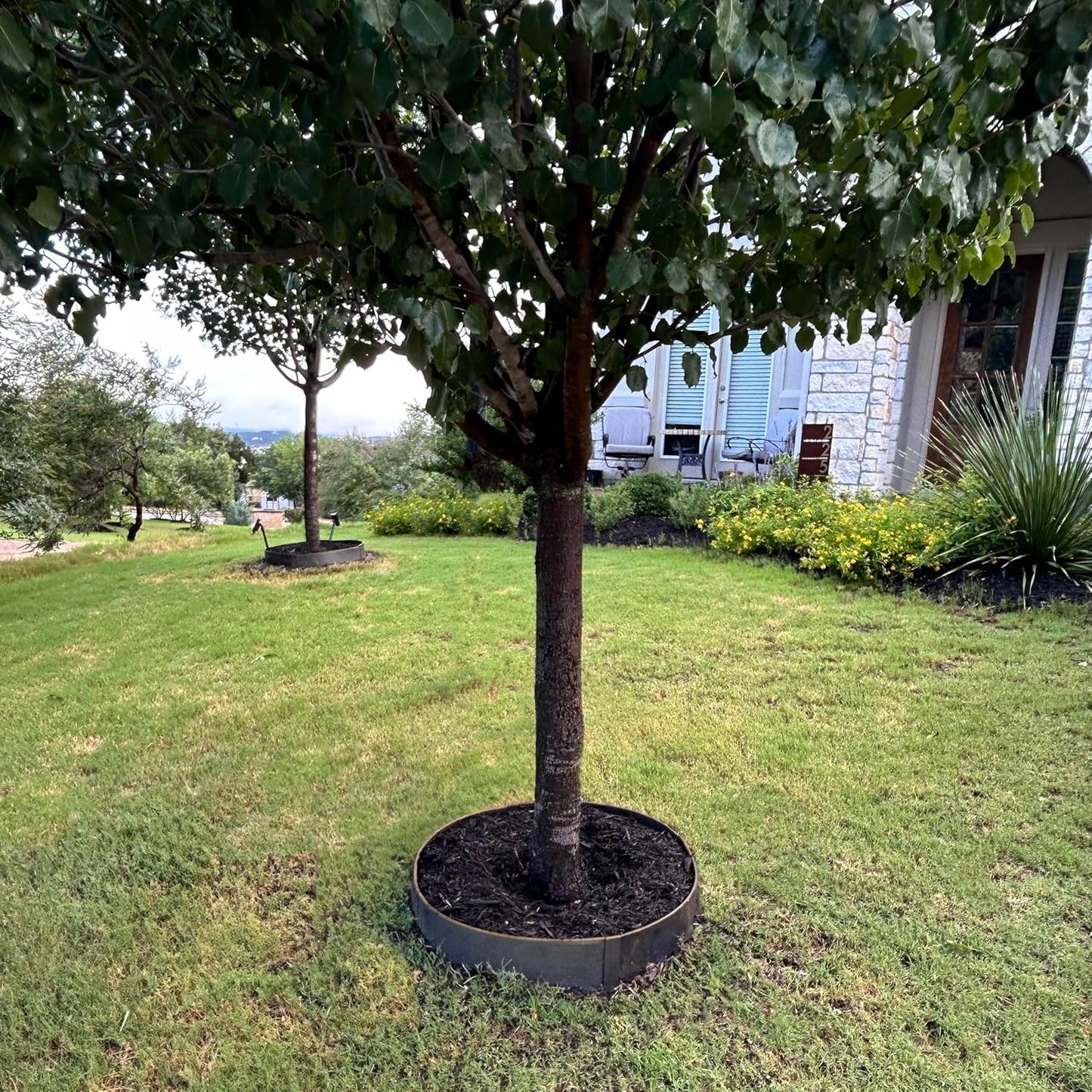 Circular Tree Ring Edging Kit - COR-Ten Steel - Landscape Edging