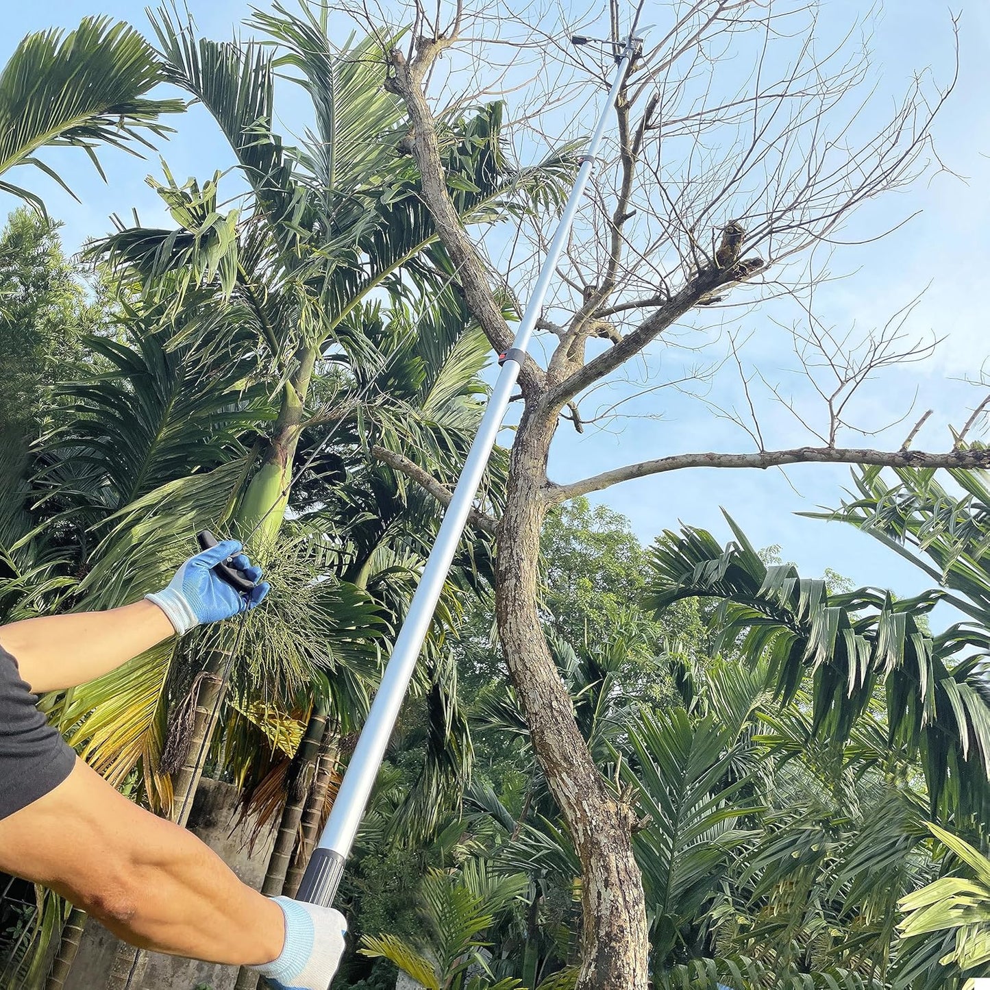 5-13FT Tree Trimmer Telescopic, Pole Saw & Pruner for Trimming, Pruning Saw Extendable, Long Handle Clippers Branch Cutter, Loppers, Fruit Picker