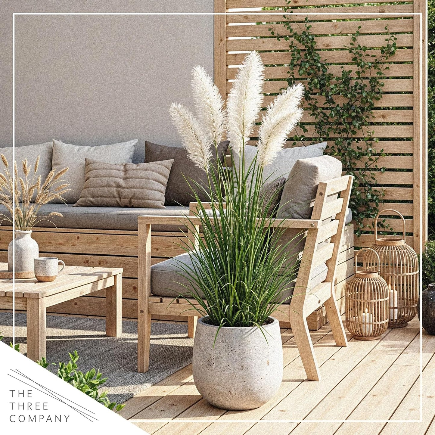 Ornamental White Grass (2 Plants Per Pack) - Live Decorative Plant - 12" Tall by 6" Wide in 1.5 Qt Pot