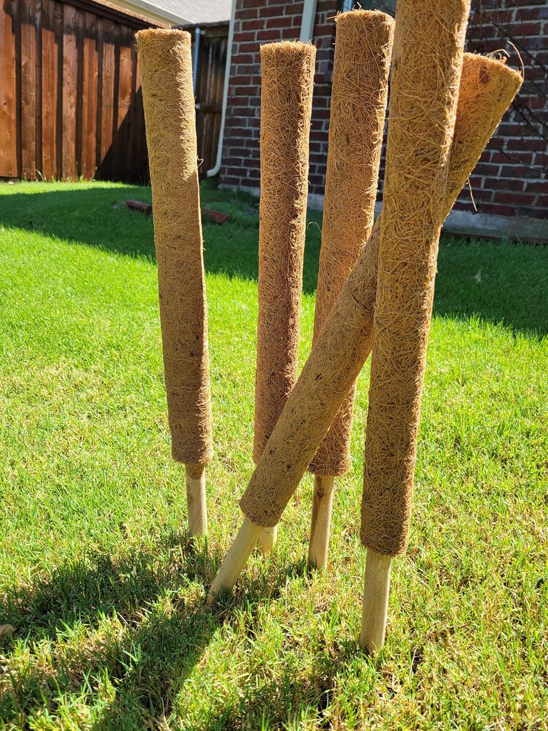 Pack of 6 Coco Coir Pole- Plants Monstera 24" Sized Poles for Climbing Plants, Plant Support Stakes for Indoor/Outdoor Potted Plants