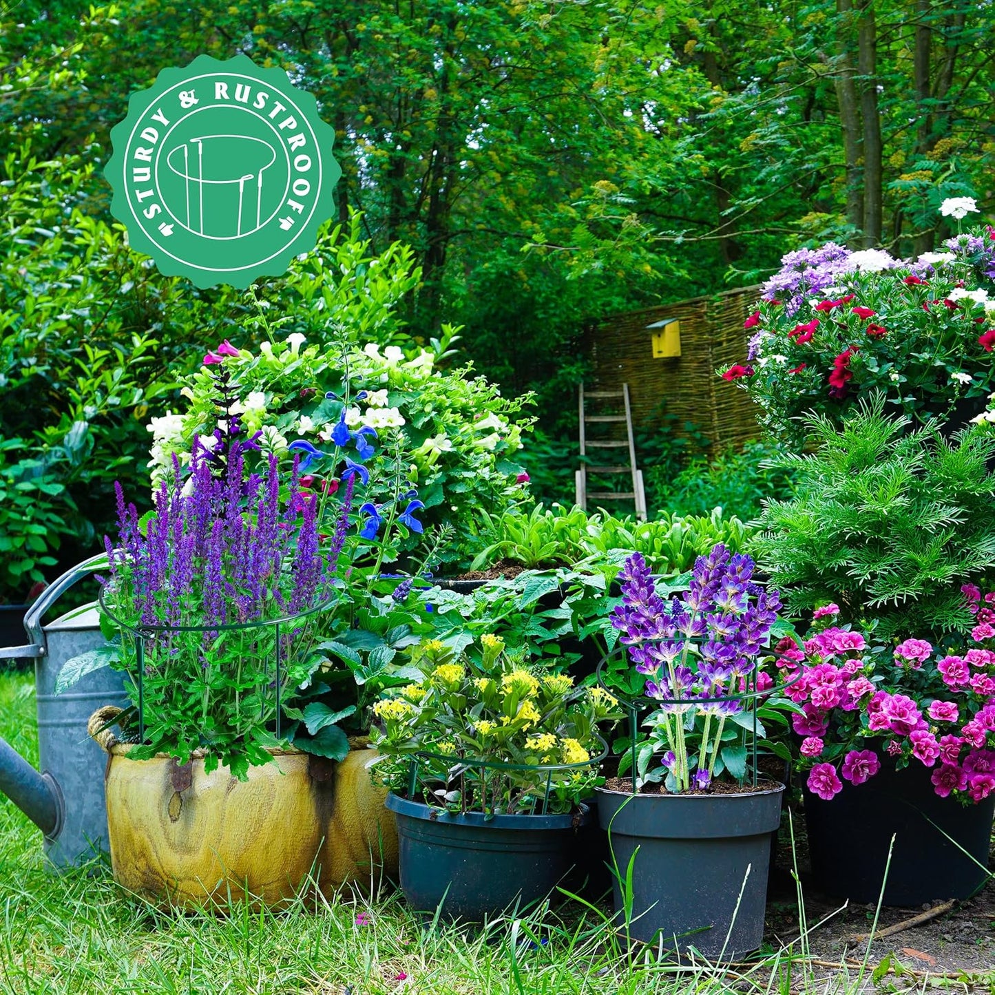 Plant Supports Stakes 6PCS, Half Round Metal Garden Stakes Plant Support For Peony Cages and Supports,Green Plant Support Ring Border for Outdoor Indoor Plants, Hydrangea (10" W x 16" H, 6 PCS)