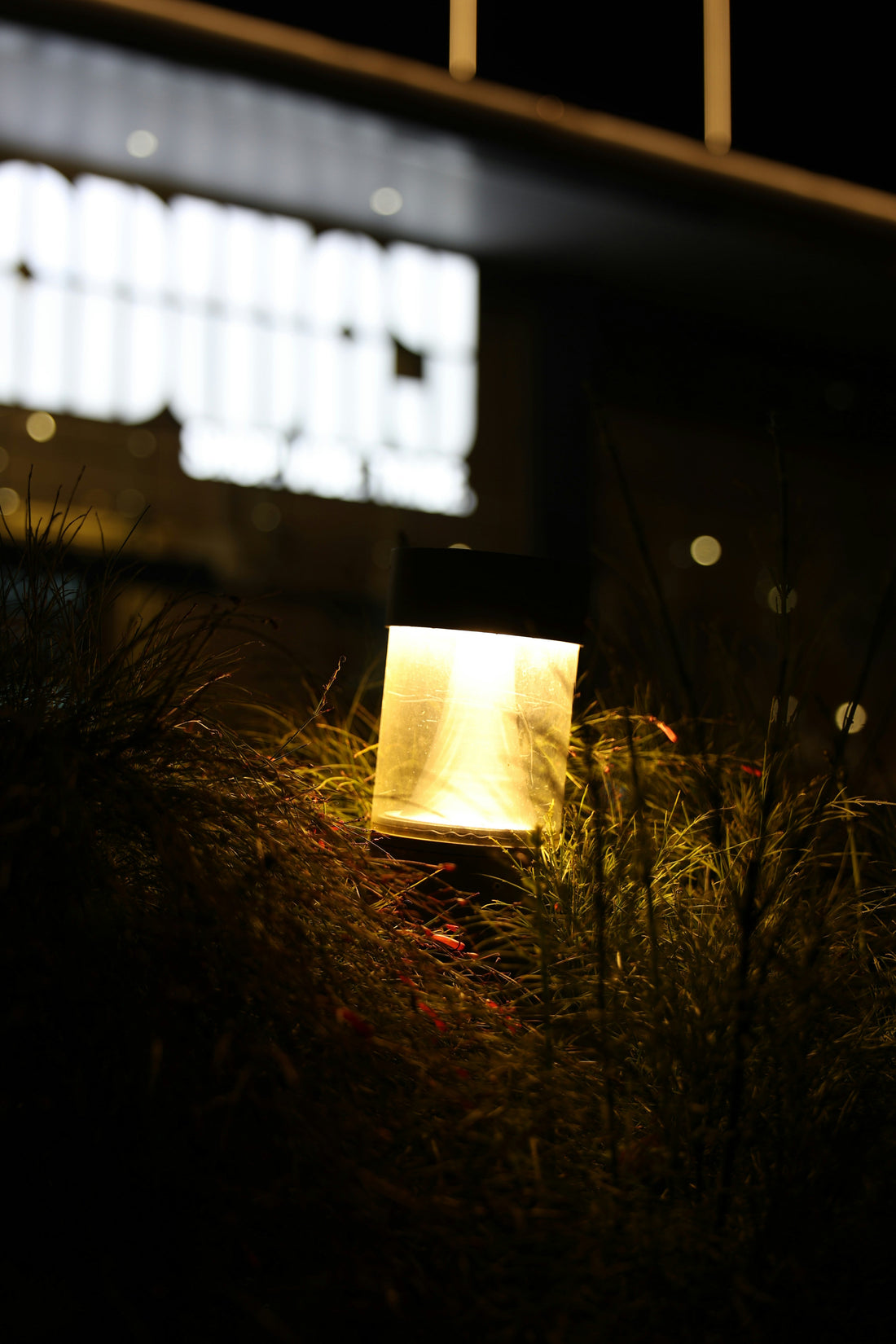 When the Lights Come On: Turning Your Garden Into an Evening Sanctuary