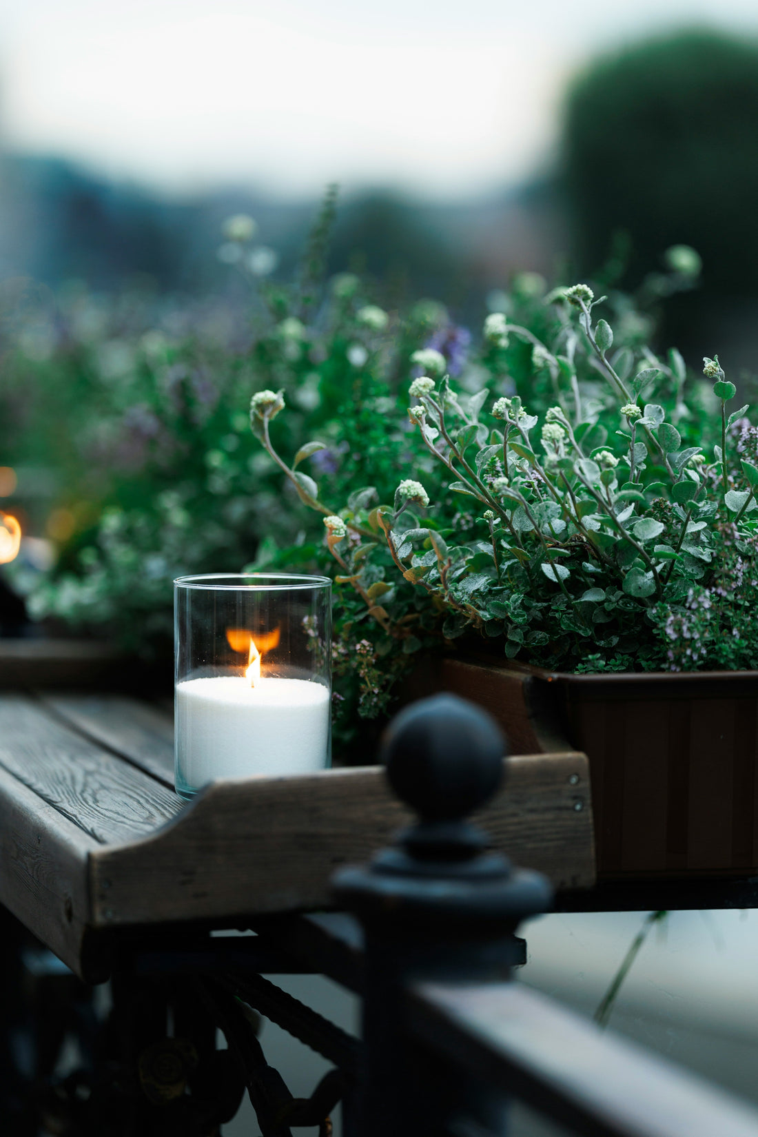 Simple Spring Garden Rituals for Calm Evenings 🌷