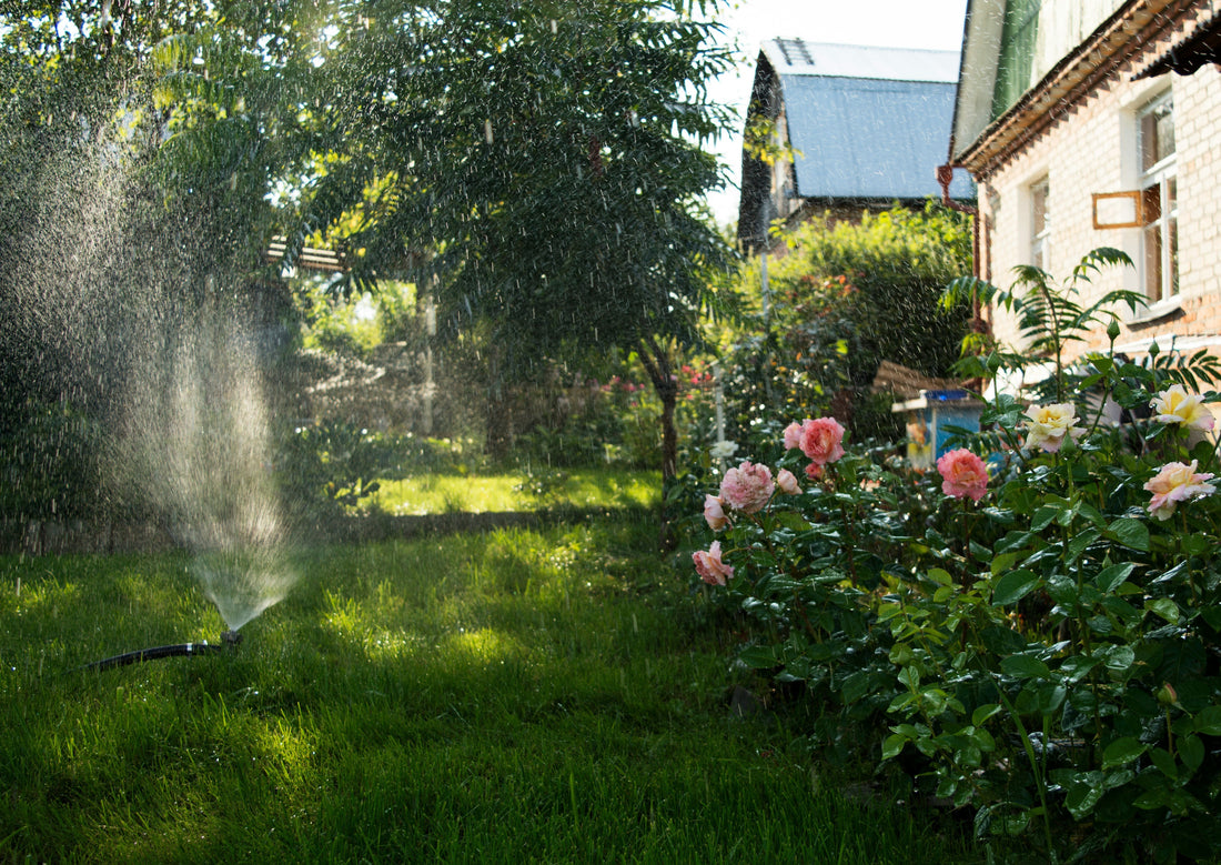 Efficient Watering: Choosing the Right Irrigation & Hoses