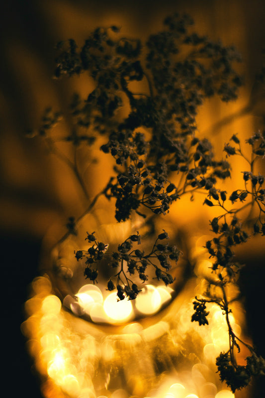 A Few Lights Are Enough: Redefining Comfort in the Evening Garden