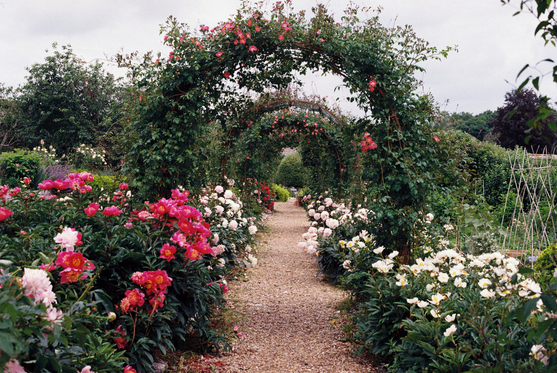 Add Structure & Style with Garden Trellises & Arbors
