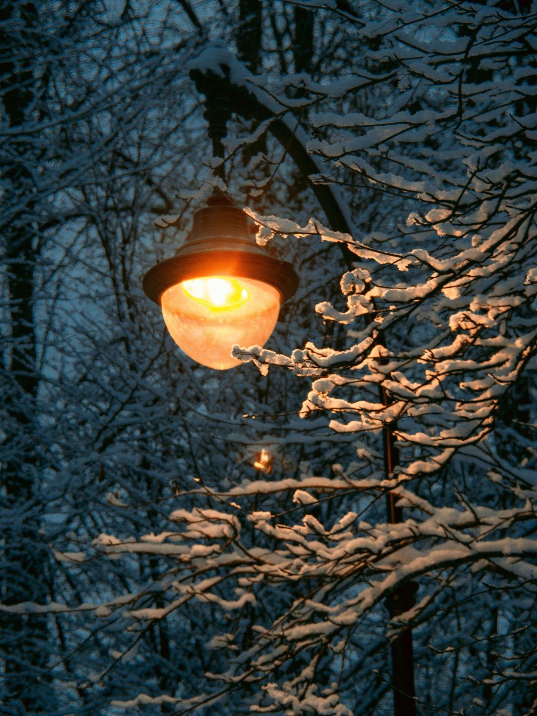Seasonal Transitions: Letting Garden Light Change with the Year