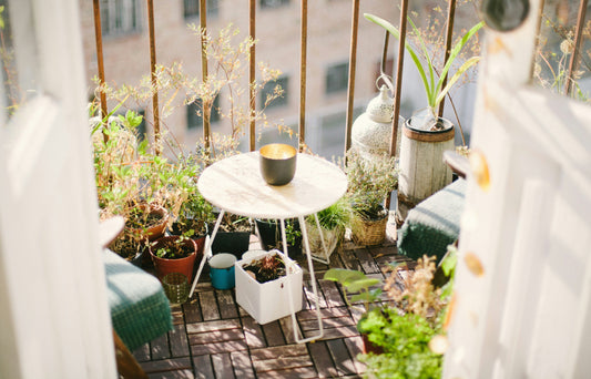 Balcony Garden Ideas for Small Homes 🌱🏙️