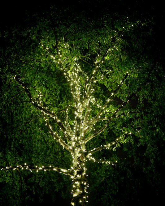 Slow Evenings in the Garden: How Soft Lighting Transforms Everyday Outdoor Moments