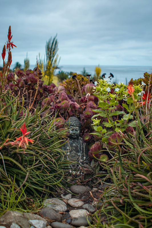 Mindful Gardening: Turning Your Yard into a Sanctuary 🧘‍♀️🌿