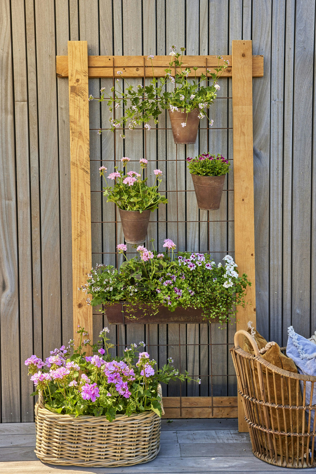 Vertical Gardening for Beginners 🌿📏