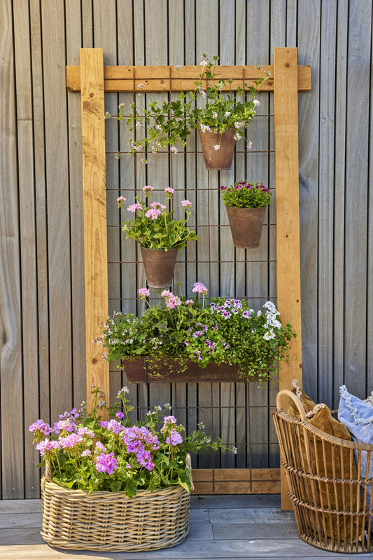 Vertical Gardening for Beginners 🌿📏
