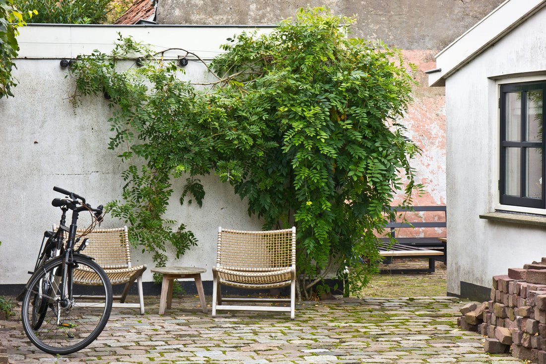 Zen Garden Ideas for a Calm Outdoor Space