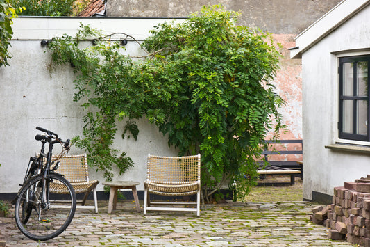 Zen Garden Ideas for a Calm Outdoor Space